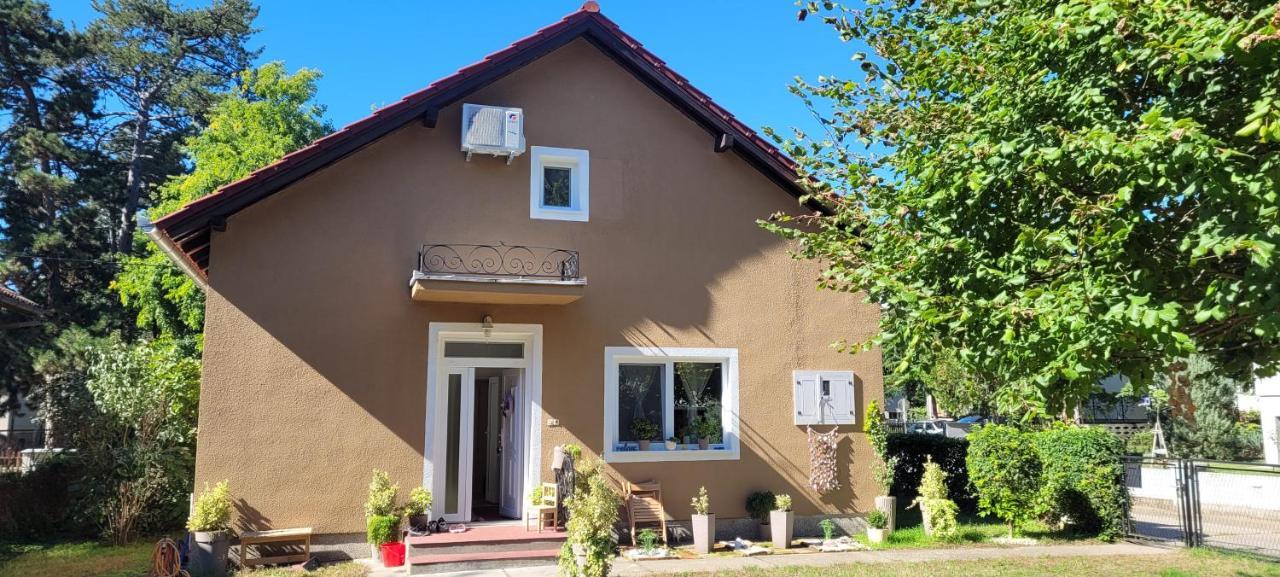 Apartman Aleksandar Lux Палич Екстериор снимка