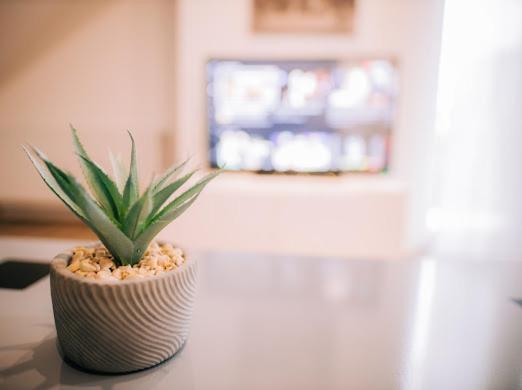Apartman Aleksandar Lux Палич Екстериор снимка
