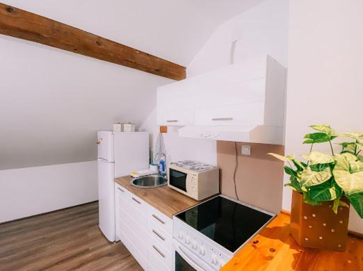 Apartman Aleksandar Lux Палич Екстериор снимка