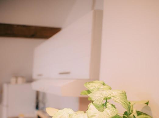 Apartman Aleksandar Lux Палич Екстериор снимка